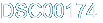 DSC00174 